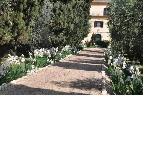 Colonna Country Home