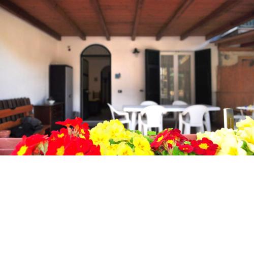 Come a casa