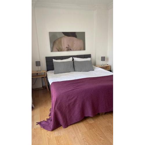 Comfortable and Cheap House at Şişli