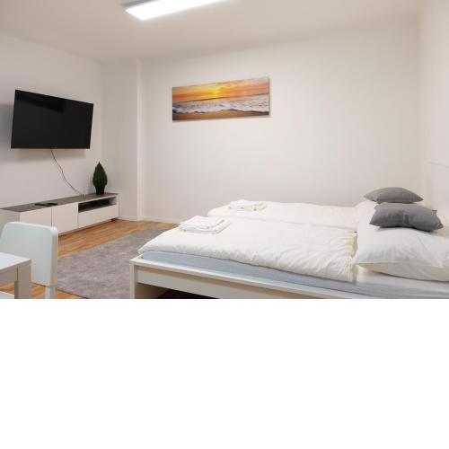 Comfortable apartment in central vienna