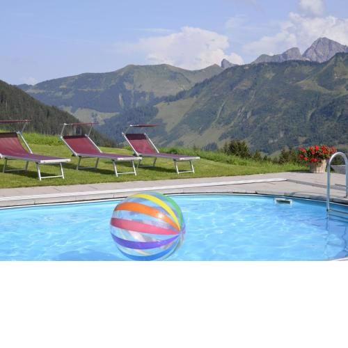 Comfortable Apartment in Dam ls with Swimming Pool