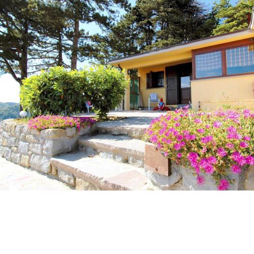 Comfortable home with terrace, located in nature