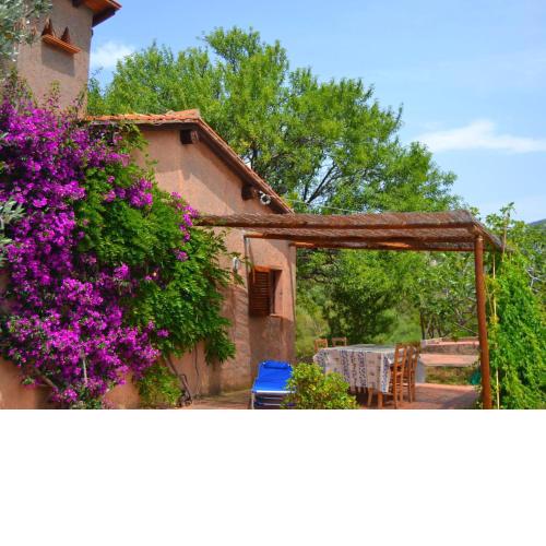 Comfy Holiday Home in Monte Argentario with Garden