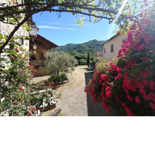 Comfy home in San Godenzo with Lake nearby