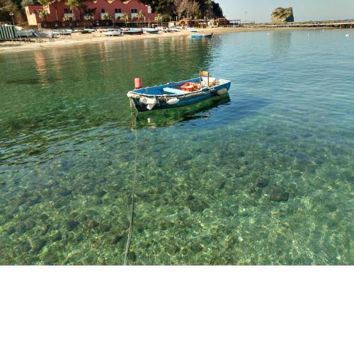 Confort By The Sea