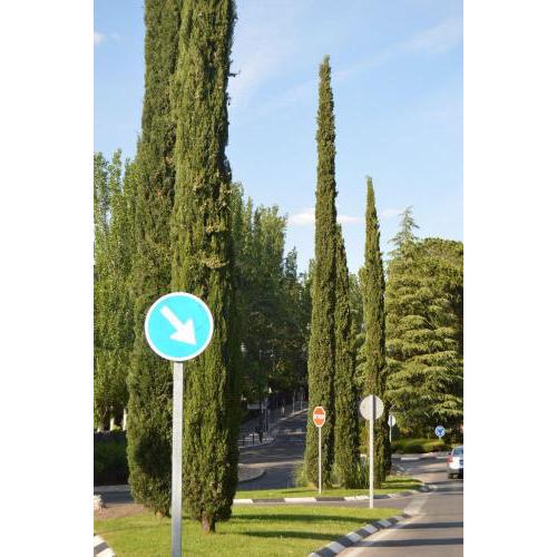 Confort hasta 7 plazas Menfis Moraja