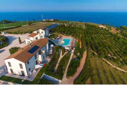 CONTEA DEI CILIEGI (official)