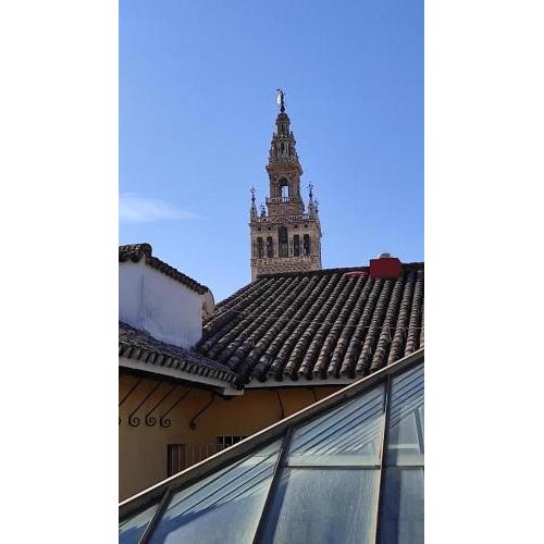Conteros Sevilla Urban