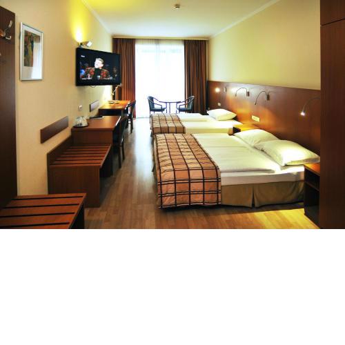 Continental Hotel-Pension