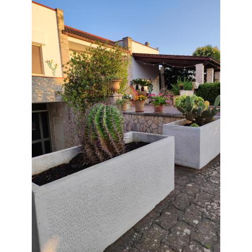 Contrada Macchia B&B