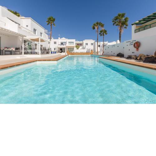 Conylanza Tabayba Blue