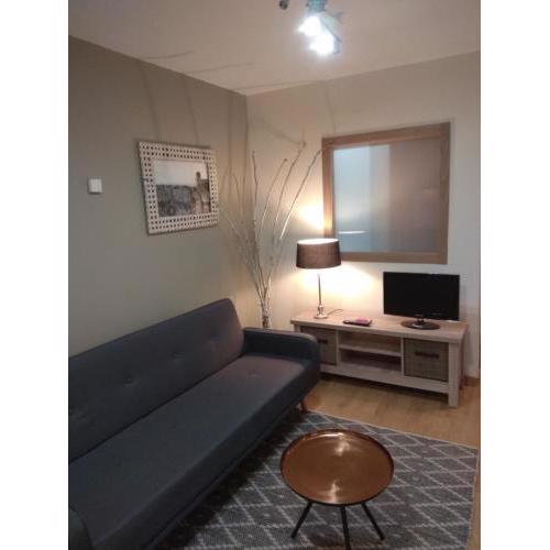 Coqueto apartamento centro VIGO con WIFI