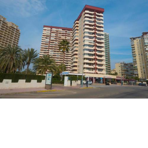 Coral Beach 213c