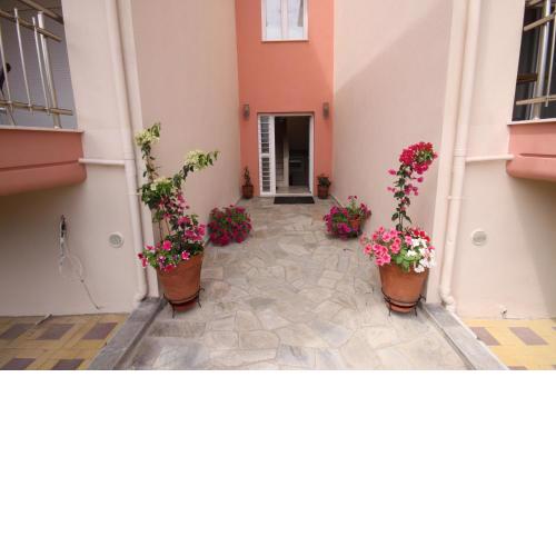 Coralli Studios