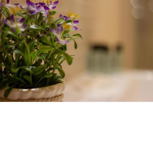 Corallo Suite - Smart Holiday