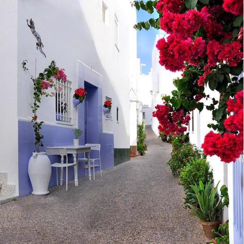 CORAZÓN DE CONIL