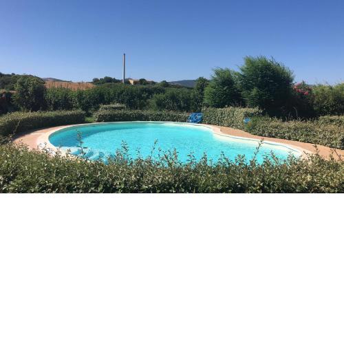 Corbezzolo