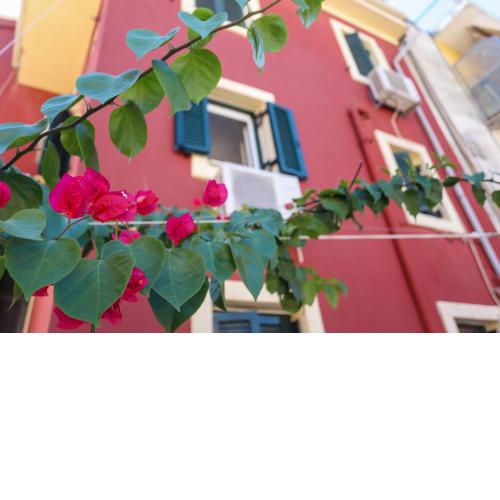 Corfu Port Home