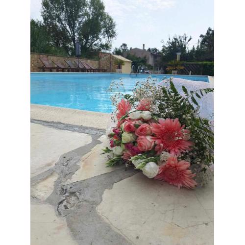 Corfu Savia Apartments