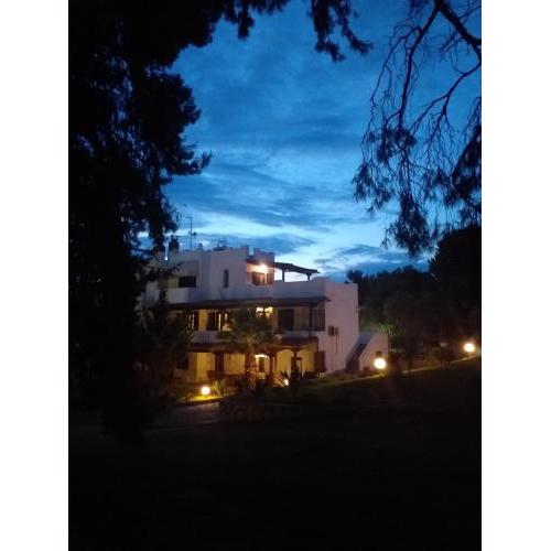 Cortessa Apartments