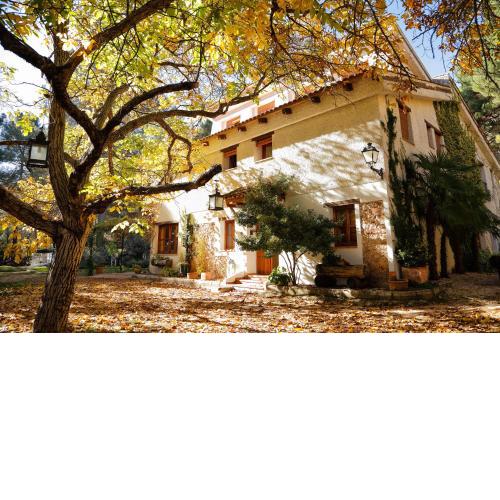 Cortijo De Ramón