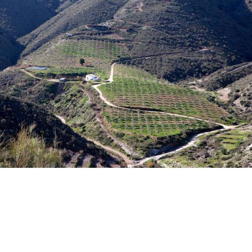 Cortijo El Rancho