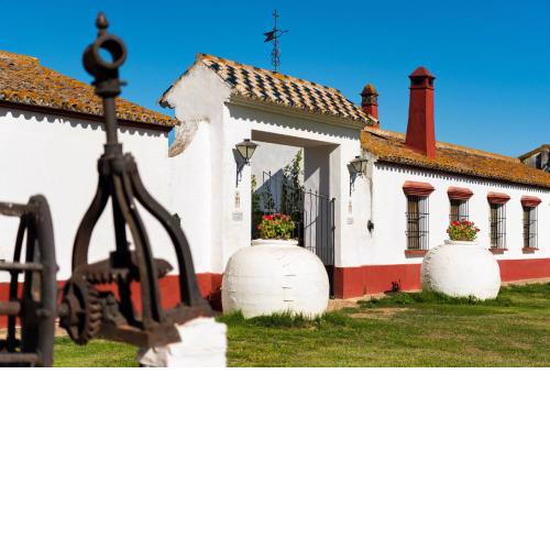 Cortijo Hato Ratón, perfecto para disfrutar unos días con familia y amigos