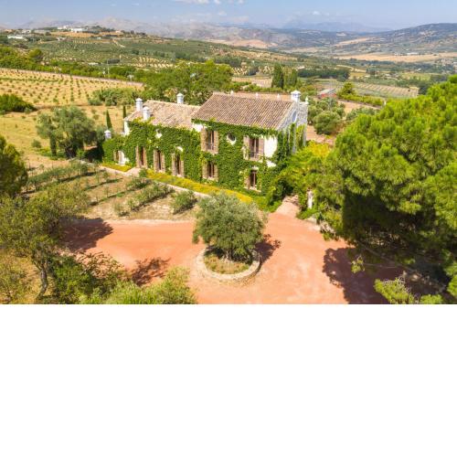 Cortijo LA Organic