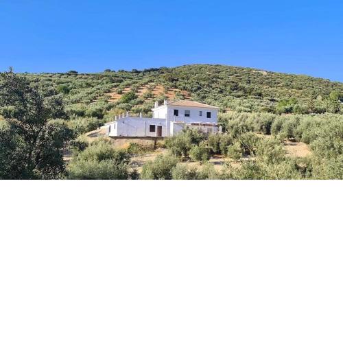 Cortijo La Polilla
