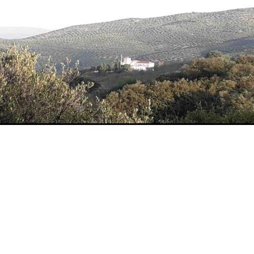 Cortijo la Umbria