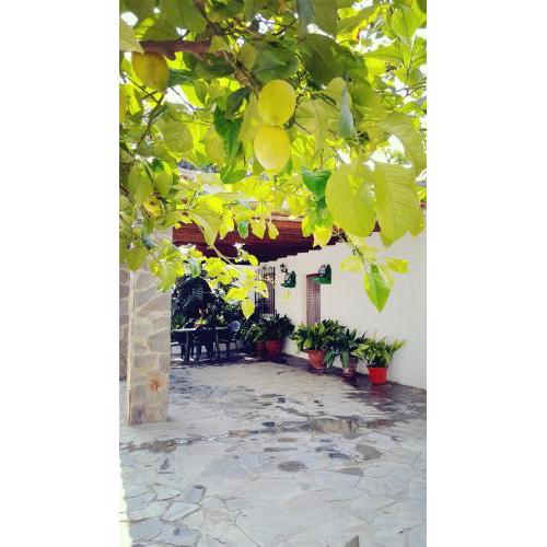 CORTIJO LALO