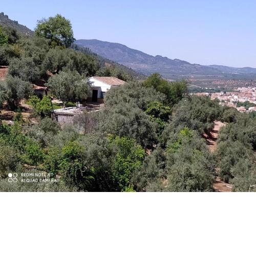 Cortijo las lagunillas