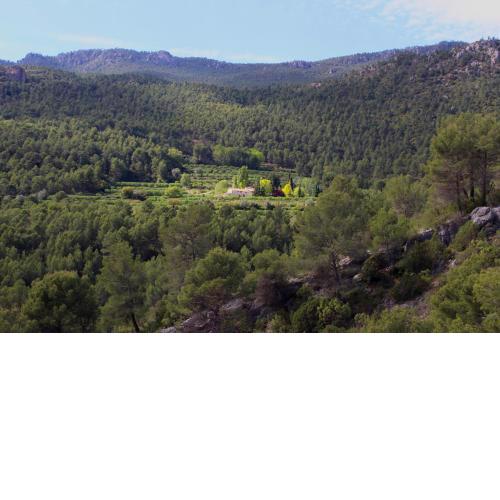Cortijo Los Gorros