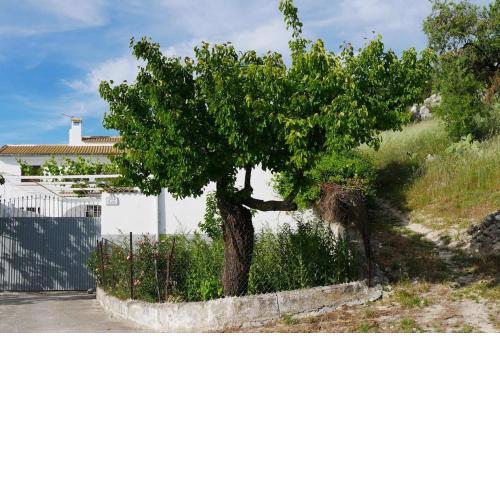 Cortijo Los Liñanes