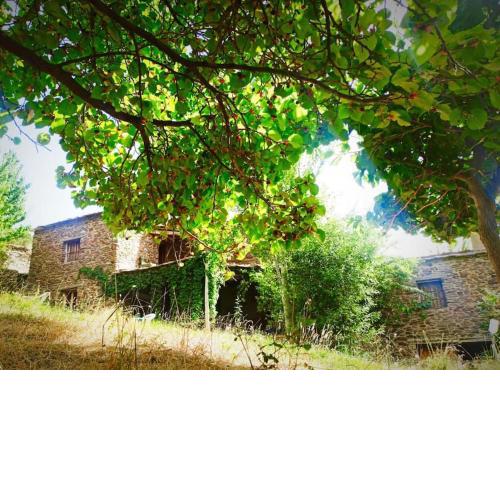 Cortijo rural El Albercón - Capileira - Alpujarra Rural
