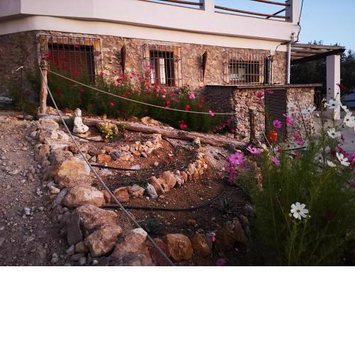 Cortijo Samadhi