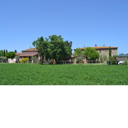 Cortona Holiday Home