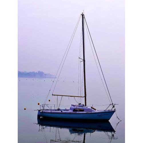 Costabella