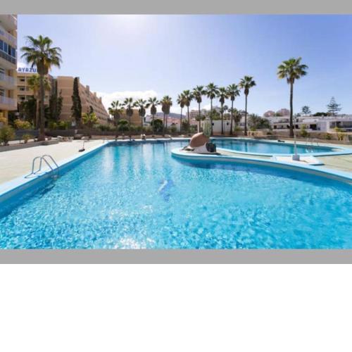 Cosy Apartment in the heart of Las Americas