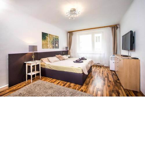 Cosy Apartment near Stephansplatz