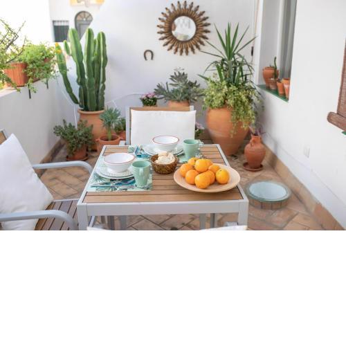 Cosy Apartment with Terrace in the Centre of Seville
