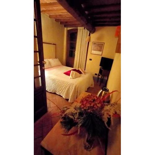 Cosy country room garden