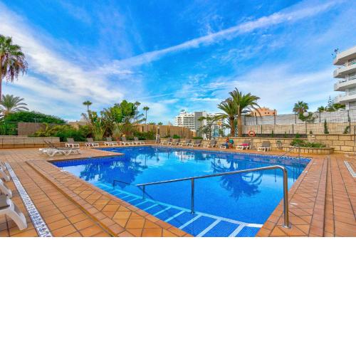 Cosy studio in Las Americas