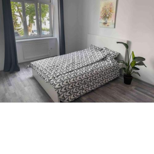 Cosy Studio near Central Station