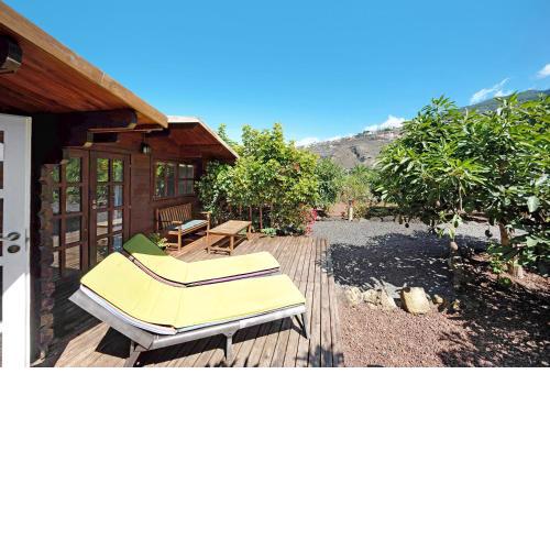 Cottage Hibiscus among Avocados