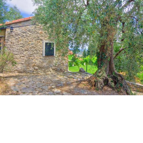 Country Home il Passatempo