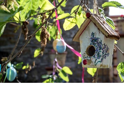 Country House Araba Phoenix