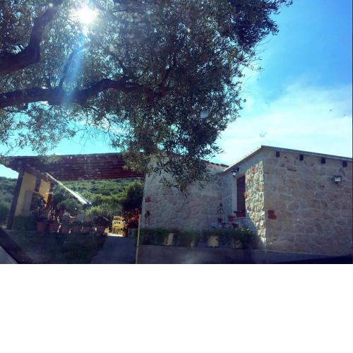 Country House at Alexandroupoli (Dikella)