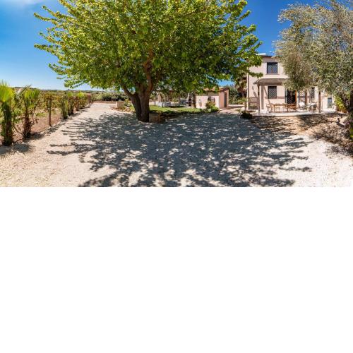 Country House il Gelso e l’Ulivo