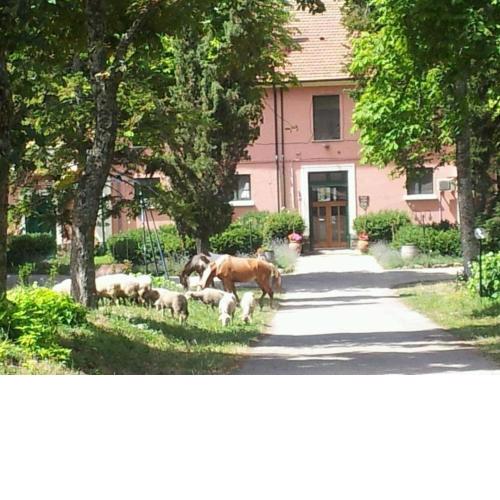 Country House Villa delle Rose Agriturismo